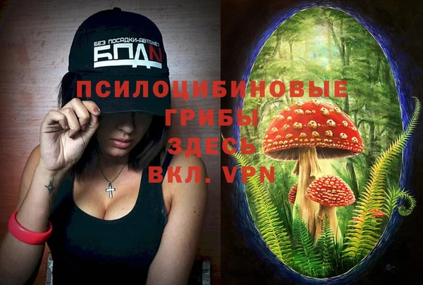 PSILOCYBIN Вязники