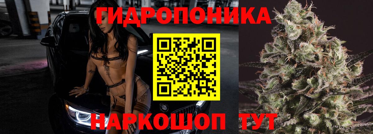 Бошки марихуана OG Kush Вольск